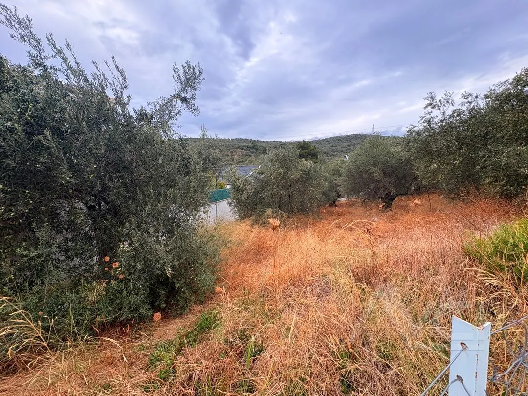 AVCI’DAN NARLIDA 838m2 Arsa
