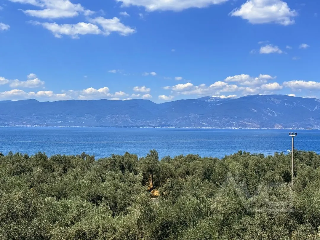 AVCI’DAN 3+1 DENİZ MANZARALI GİRİŞTE ODALI 350M2 İÇESİNDE PELİTKÖY’DE TEK MÜSTAKİL