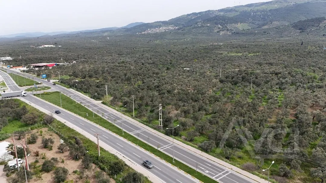 AVCI’DAN ÇANAKKALE-EDREMİT OTOBANINA CEPHELİ 2.081M2 ZEYTİNLİK