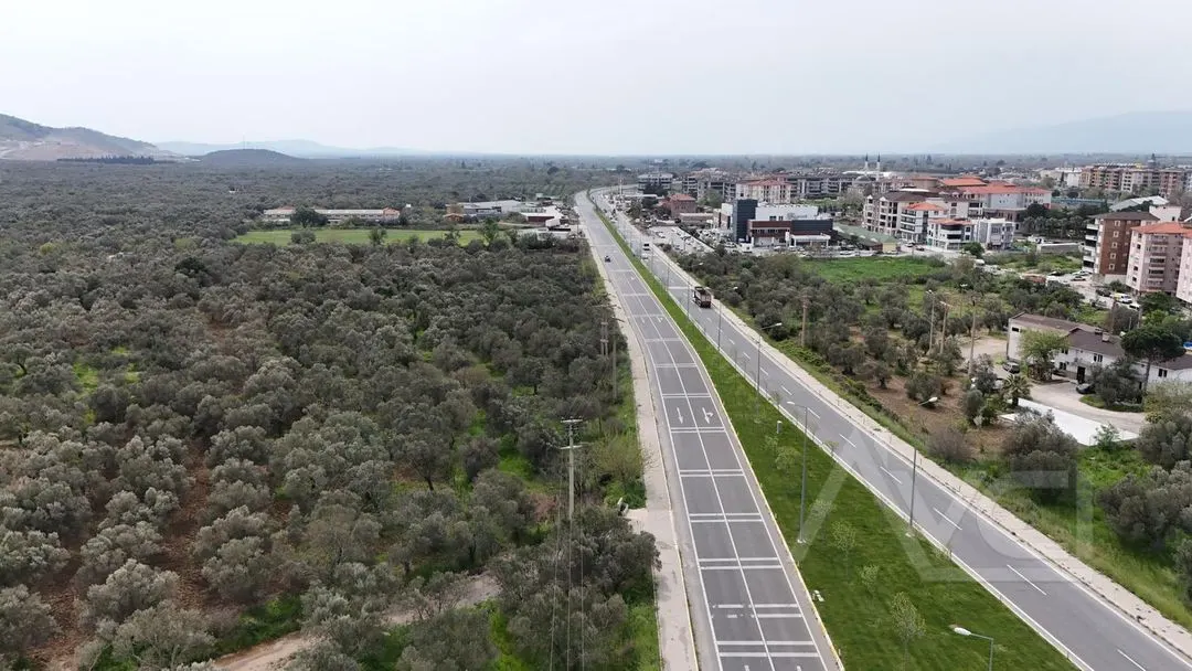AVCI’DAN ÇANAKKALE-EDREMİT OTOBANINA CEPHELİ 2.081M2 ZEYTİNLİK