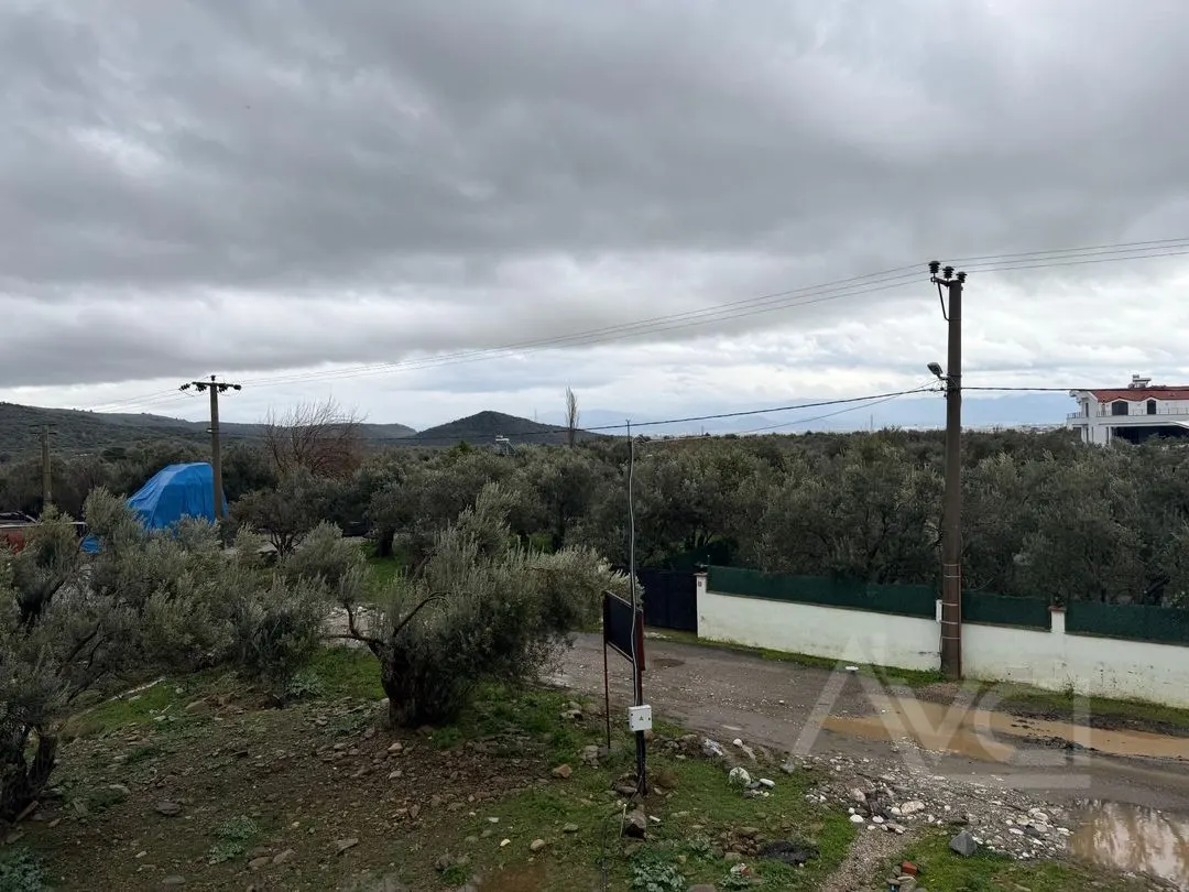 AVCI'DAN TEK YETKİLİ ZEYTİNLİ'DE 2+1 SIFIR KISA KATLI DAİRE