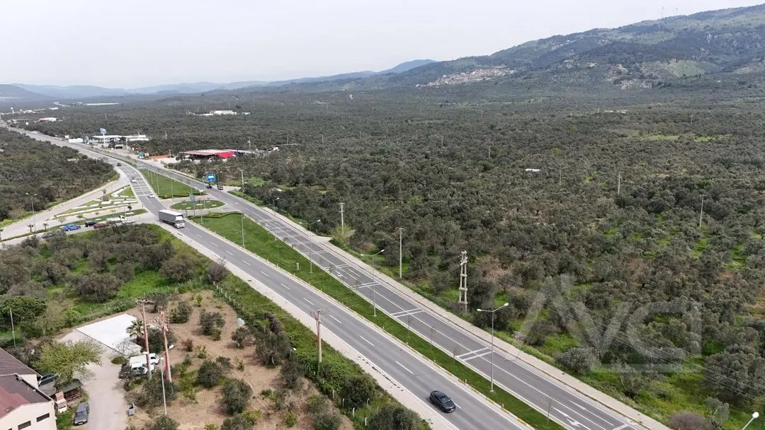 AVCI’DAN ÇANAKKALE-EDREMİT OTOBANINA CEPHELİ 2.081M2 ZEYTİNLİK