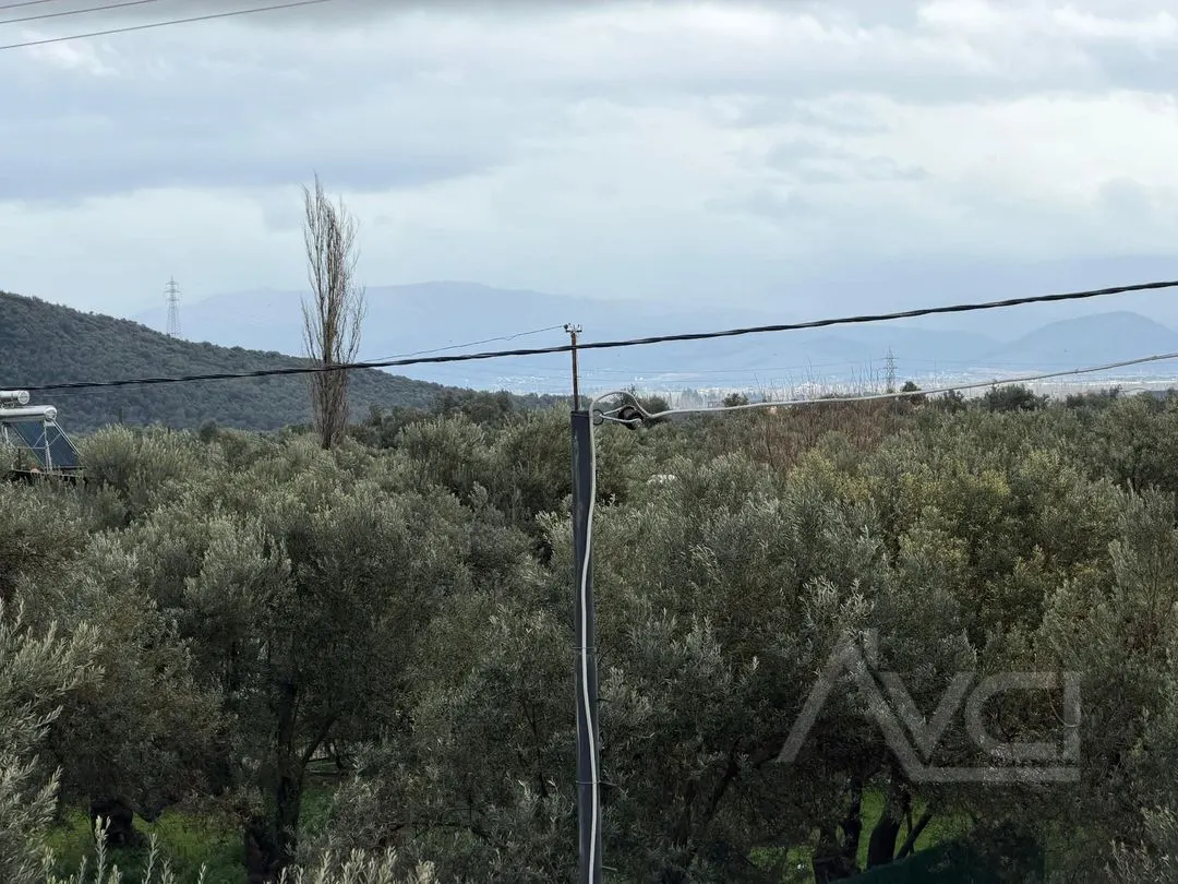 AVCI'DAN TEK YETKİLİ ZEYTİNLİ'DE 2+1 SIFIR KISA KATLI DAİRE