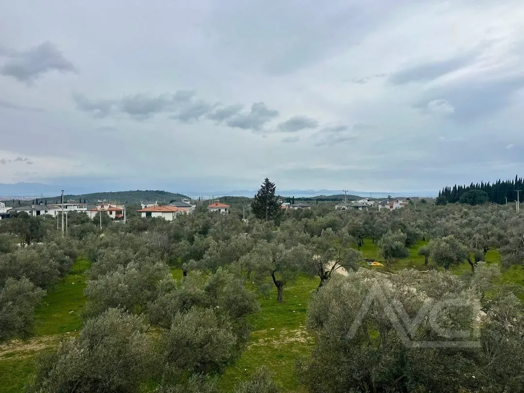 AVCI’DAN GÜRE’DE DAİRE FİYATINA SIFIR TERASLI 3+1 VİLLA